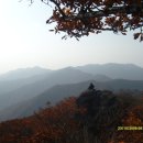 의신슈퍼 이미지