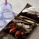 등보당한의원 이미지