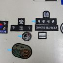 백룡군장