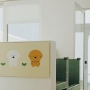 스테이지니 이미지