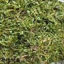 이완기농장 이미지