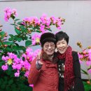 인천종합사회복지관 이미지