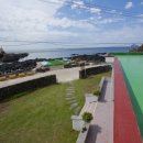 방울풍뎅이 이미지