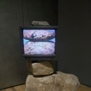 허상과 실상의 공존 | 장면으로 읽는 한국현대미술 - 국립현대미술관 서울관 상설전 〈한국현대미술 하이라이트〉 II