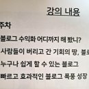 자유의지