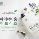 맘스허브 이미지