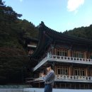 삼관목장 | 가을 최고 여행지 소백산에 위치한 단양 구인사 ,,