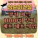 용인 건설기계 노동조합 | 양평 제초 작업 마을 내 1000평 부지 공터 예초 후기