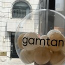 감탄스토어 | 로데오 팝업 "감탄 플래그십 스토어" 감탄 청담 오픈 이벤트 방문 후기 feat. 감탄브라 오프라인 매장...