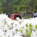 가학산 휴양림 이미지