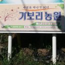 가보리농원 네이버블로그