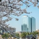 판교백현로 이미지