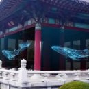 고래스크린 네이버블로그