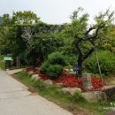 고향산천 이미지