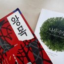 소통하는 나무 이미지