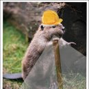 제일건축업