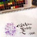 수채화 캘리그라피 이미지