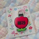 멍소담 | [강아지용품/인식표] 봄의 멍멍유치원 같은 "튤립인식표 "