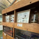 센트럴 곤충생태농장 이미지