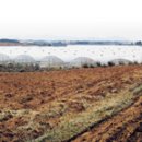 박인수농장 이미지