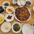 강풍코다리