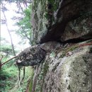 주변 조망 이미지