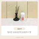 릴리퀸 | 릴리퀸 섬유유연제 프레리나 향 사용후기 건조기 섬유유연제 추천