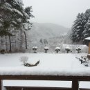 청태산 자연속으로 이미지