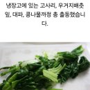 우거지 소고기국, 불고기 버섯전골 이미지