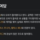 한화 대체 용타 나무위키 읽어봤는데 케이티에서 70만 달러에 오퍼 넣은 적이 있다네 이미지