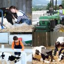 데일리목장 이미지