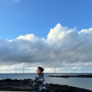 문수동그디 이미지