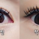 천리안안경원 이미지