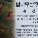 밤나무산장 이미지