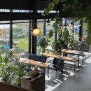 하당메밀향 | 평창여행 1박 2일 (메밀꽃밭/카페마카/봉평전통시장/오셨뜨래요 메밀여행/이효석문학관)