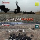 SC농장 이미지