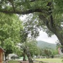 진목초등학교 이미지