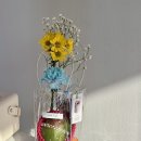 위드에이치2 이미지