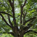 보탑사 주차장 | 충북 진천여행 가볼만한곳 1탄 보탑사 추천