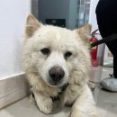 사직천안종합약국 이미지