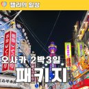 유니버샬항공여행사㈜ | 일본 오사카 패키지 2박 3일 노랑풍선 근교 여행 후기