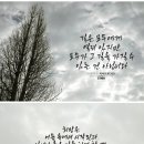 디자인시나브로 이미지