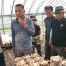 새샘농장 이미지