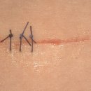 둔산싱싱튼튼의원 이미지