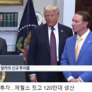 오토시스 이미지