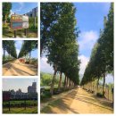 [내포문화숲길 (천주교순례길 3~4코스)] 라이딩 (25.08.24) 이미지