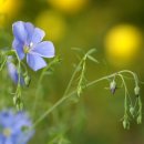 사랑이유통 이미지