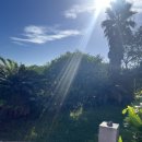 아끈두베 이미지