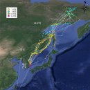동갈매기 이미지