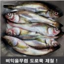 윤석열 대통령 수산시장 가시는줄 알았으면 “도로묵” 권할것을 !!! 이미지